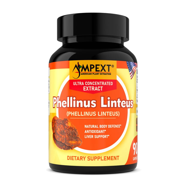 Phellinus Linteus Mushroom Capsules