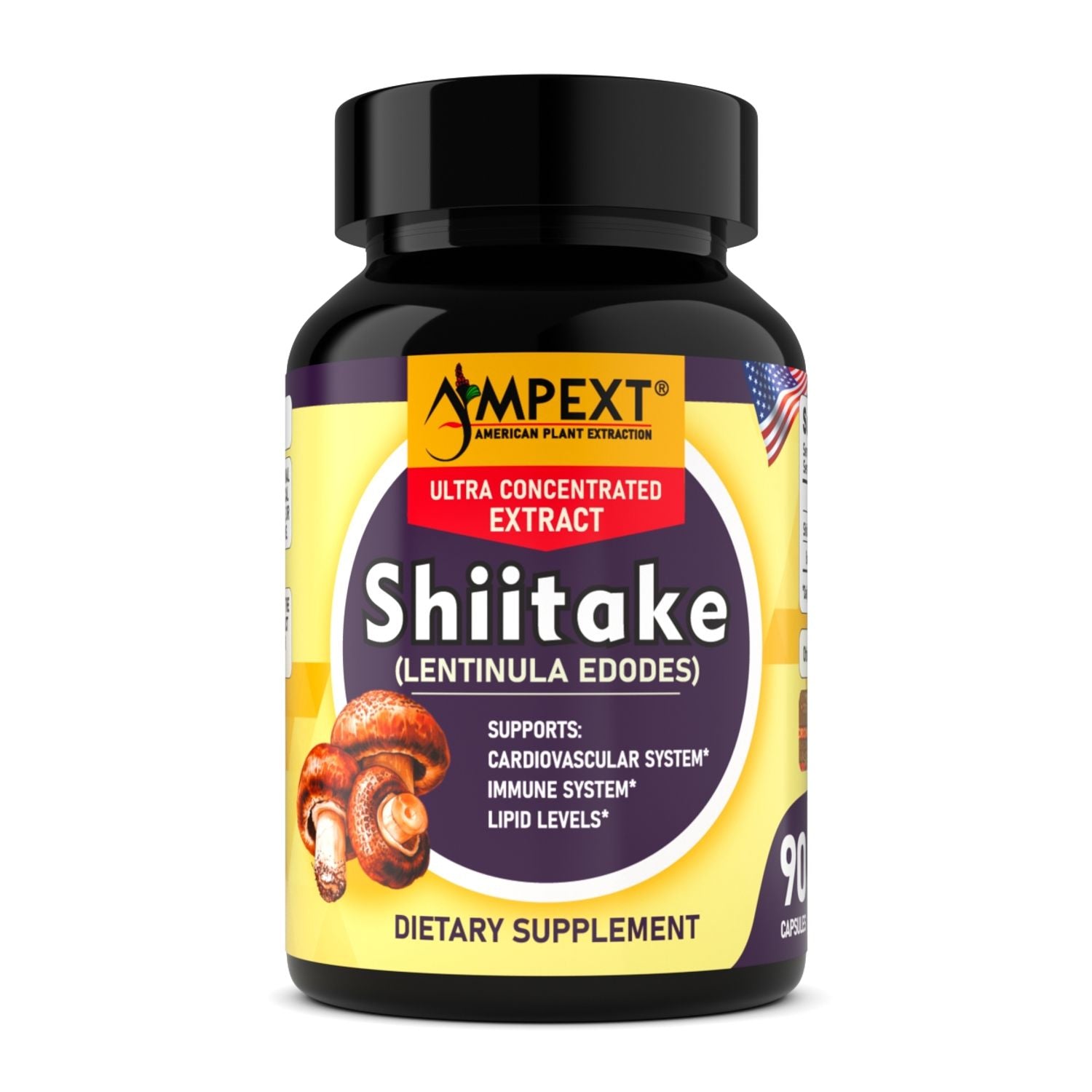 Shiitake Mushroom Capsules