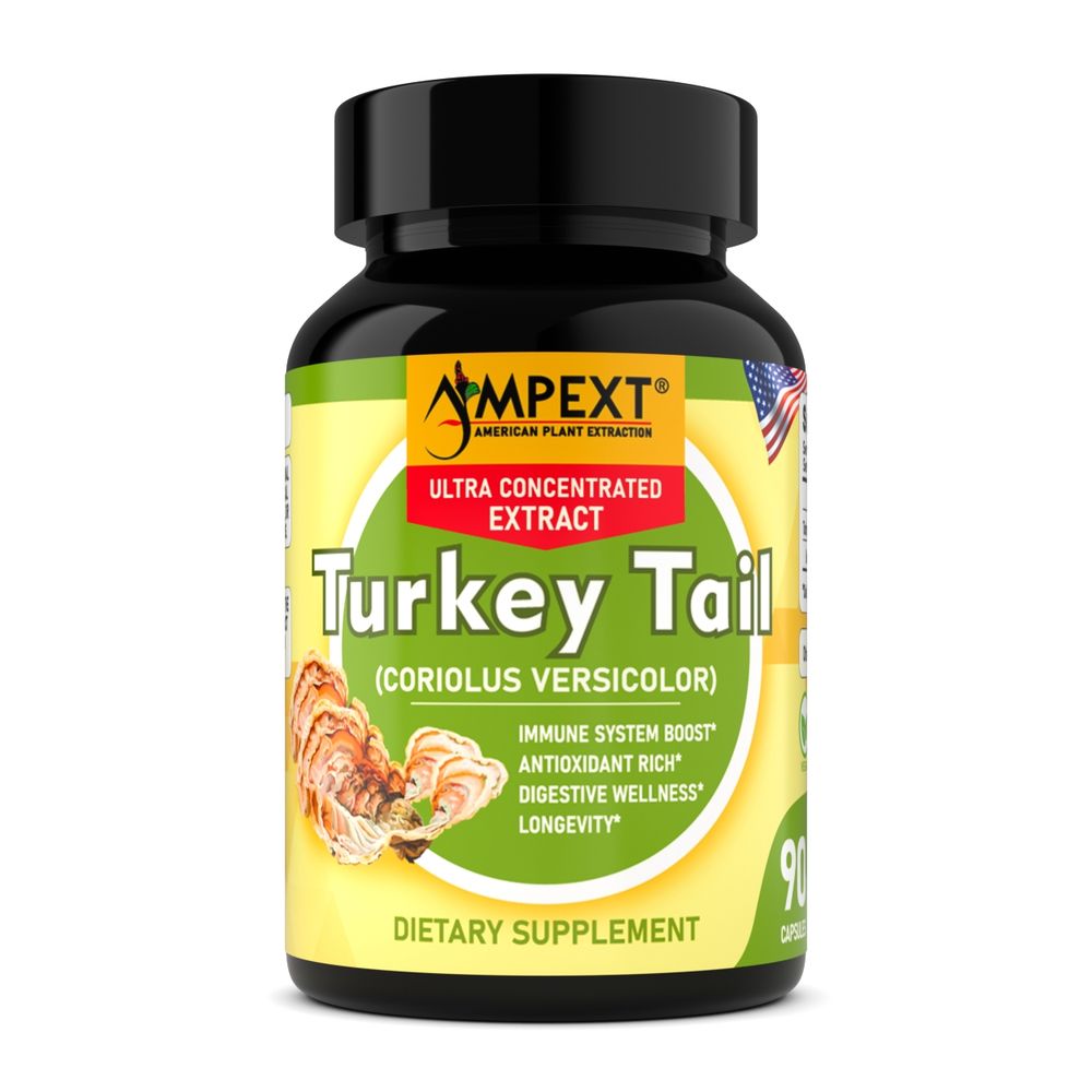 Turkey Tail Mushroom