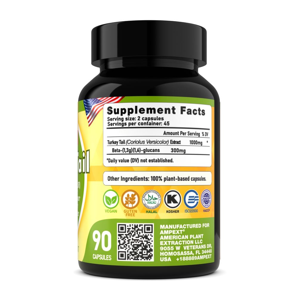 Turkey Tail Mushroom