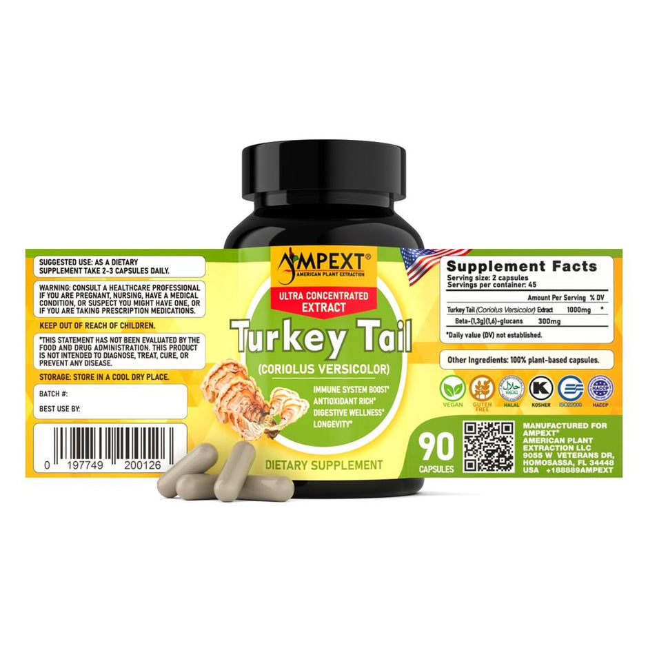 Turkey Tail Mushroom