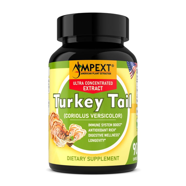 Turkey Tail Mushroom