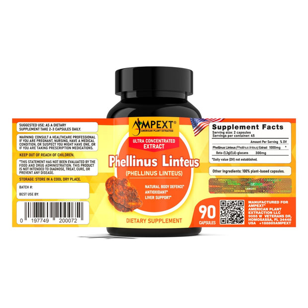 Phellinus Linteus Mushroom Capsules