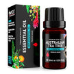 Australian Tea Tree (Melaleuca alternifolia) 100% Essential Oil, Premium Grade, 10ml