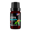 Clove (Syzygium aromaticum) 100% Essential Oil, Premium Grade, 10ml